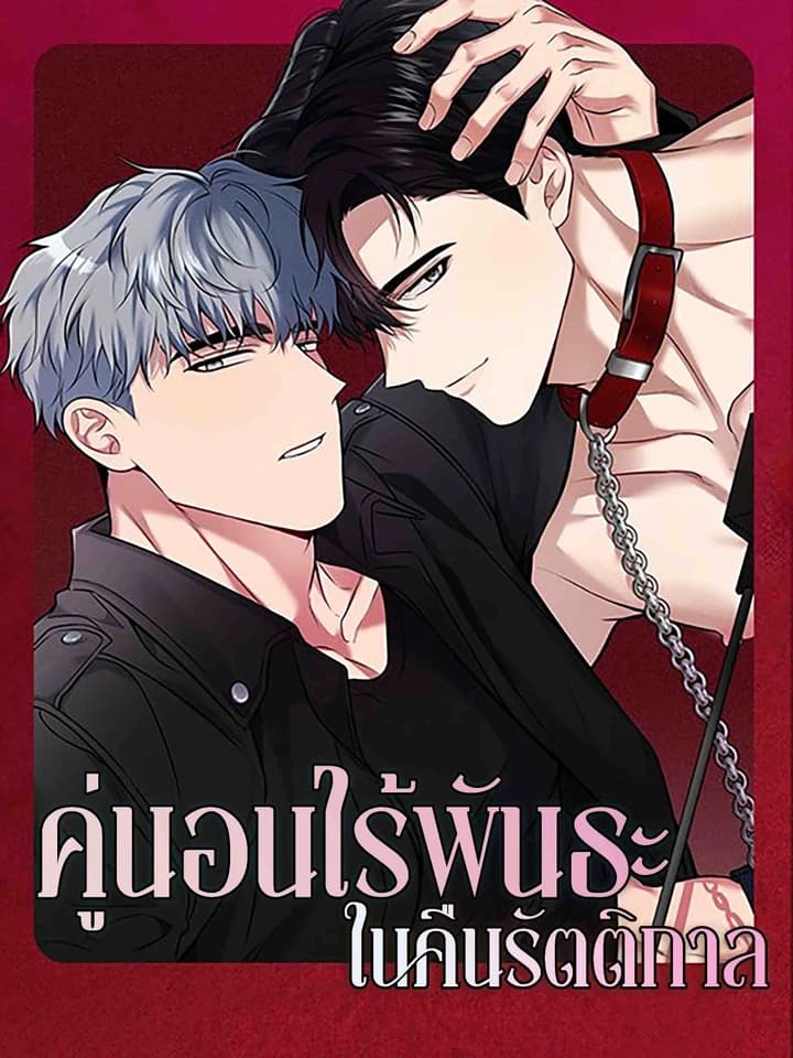 Non-binding Partner on a Midnight Night คู่นอนไร้พันธะในคืนรัตติกาล